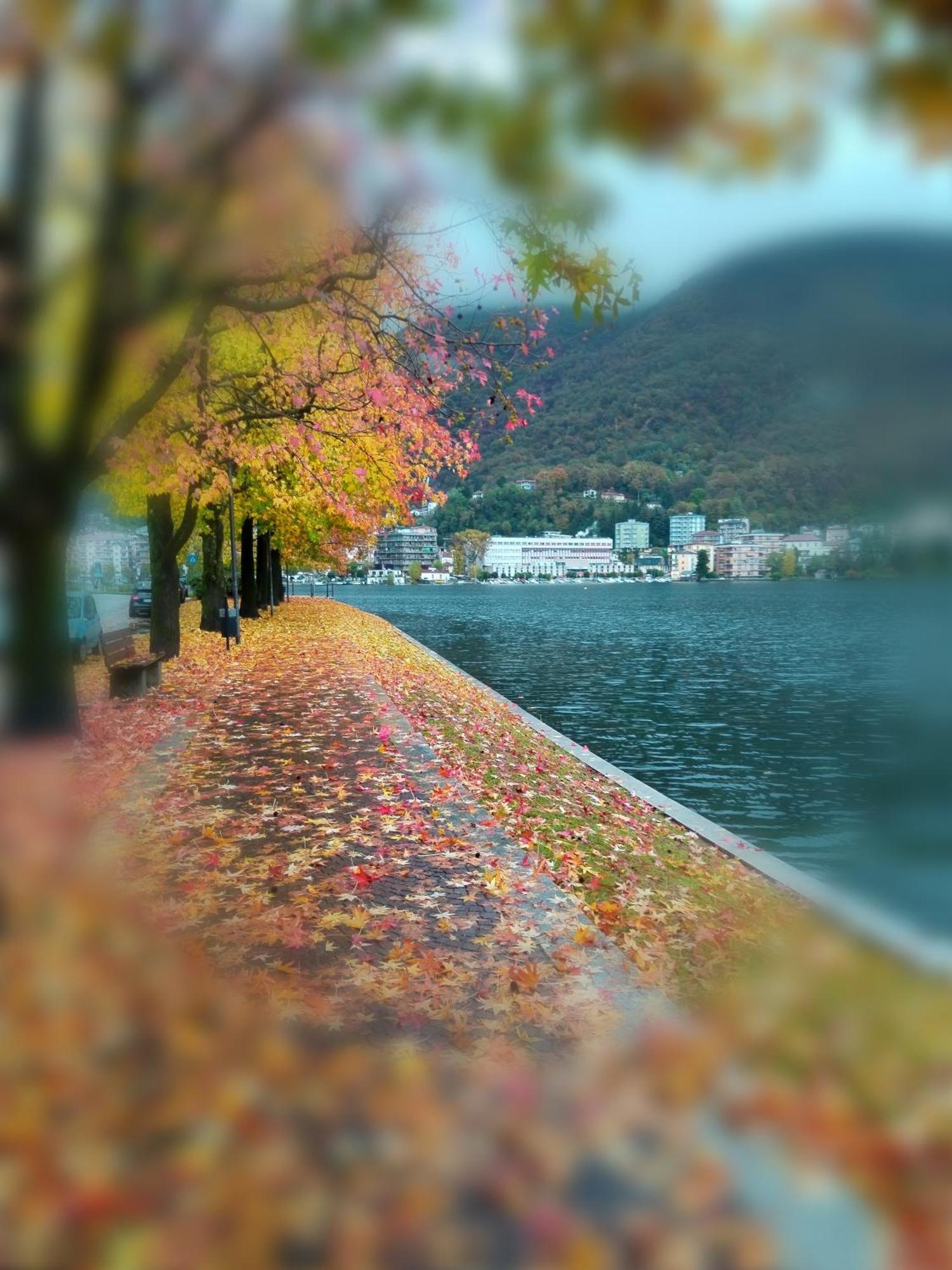 Un Balcone Sul Lago Omegna Exterior foto